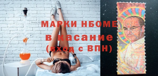 гашик Осинники
