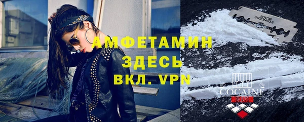 гашик Осинники