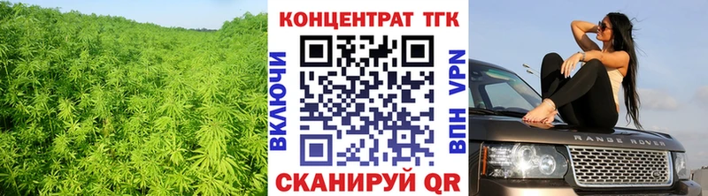 ТГК концентрат  закладка  Трубчевск 