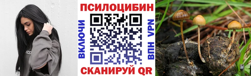 Псилоцибиновые грибы GOLDEN TEACHER  Трубчевск 